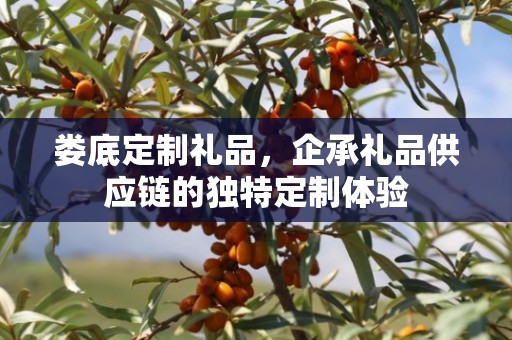 娄底定制礼品，企承礼品供应链的独特定制体验